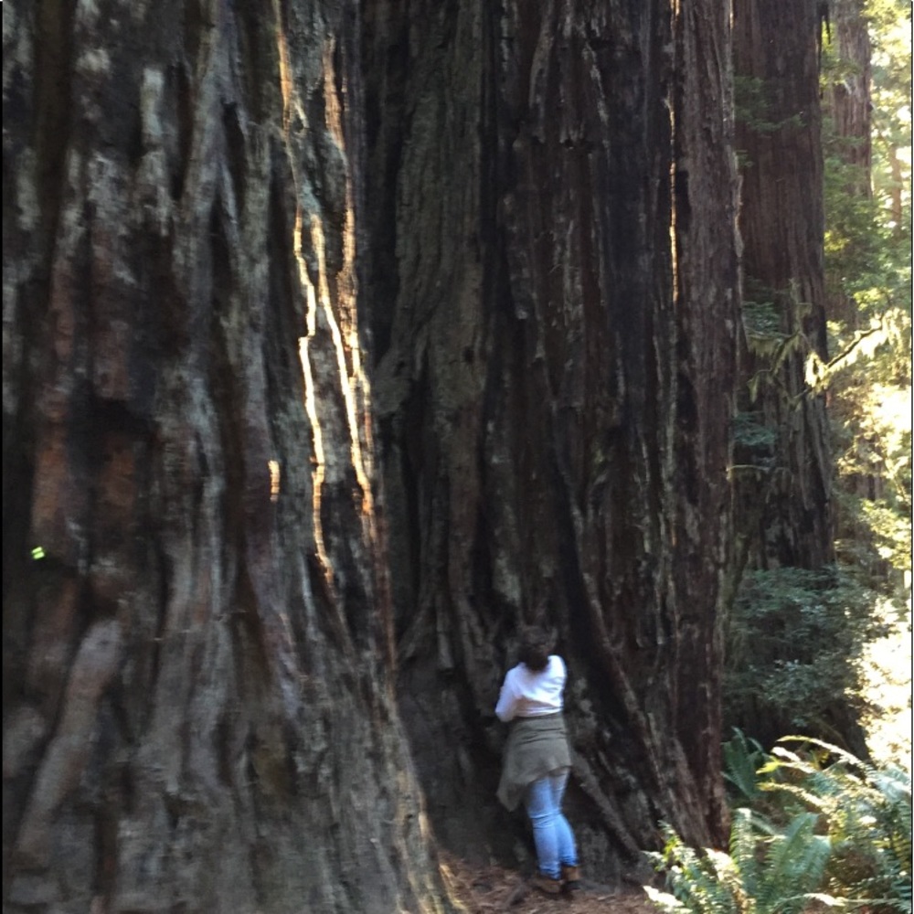 Meet your Posher, Tracy